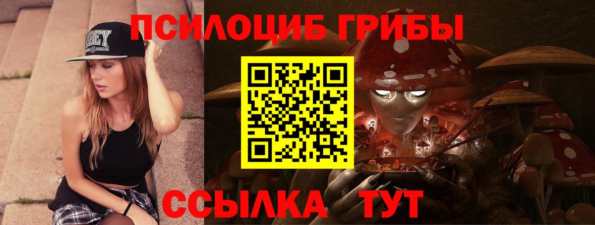 Псилоцибиновые грибы Psilocybe  Псилоцибиновые грибы мицелий  Вход с VPN  Якутск 